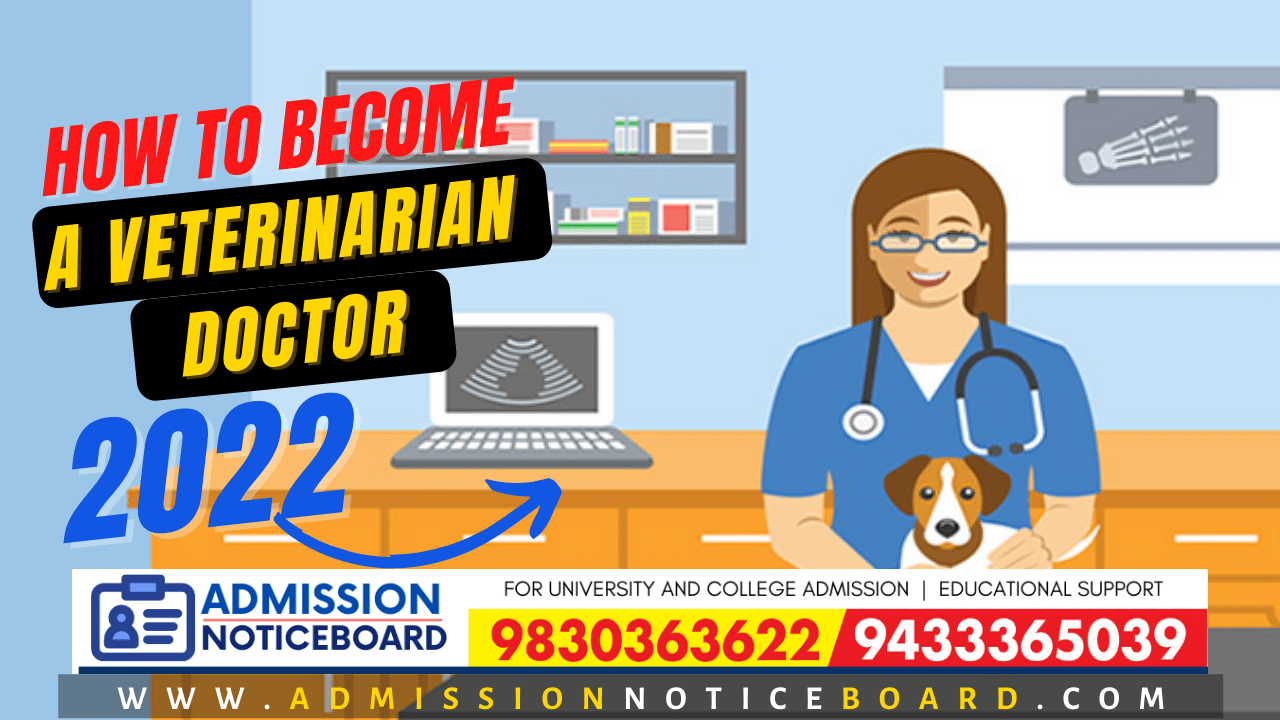 HOW TO BECOME A VETERINARIAN?